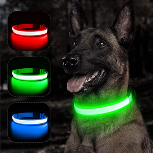 LED Sicherheitshalsband