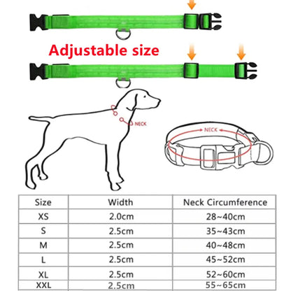 LED Sicherheitshalsband